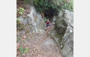 La pointe du Cloutet et la crête de Tosin depuis l'Escarène