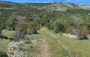 Tour de l'Ubac des Brainées, la Montagne des Louquiers et la Cascade de Clars