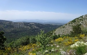 Montagne de Thiey à partir du pont de Nans