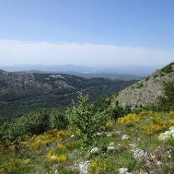 Montagne de Thiey à partir du pont de Nans